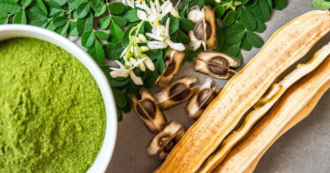 Moringa – cudowne drzewo. Właściwości